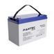 PANTEC Аккумуляторная батарея 100-12 12В 100Ач YT37503 фото 1