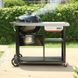 Угольный гриль Weber Performer Premium 1501966 фото 2