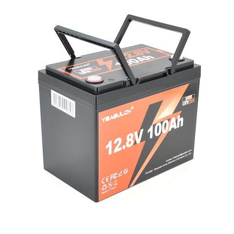 Акумуляторна батарея YEAGULCH Mini LiFePO4 12,8V 100Ah 1280Wh, BMS-100A, ( 246 x 187 x 197) , M8, 12.9kg Q1 YT45661 фото
